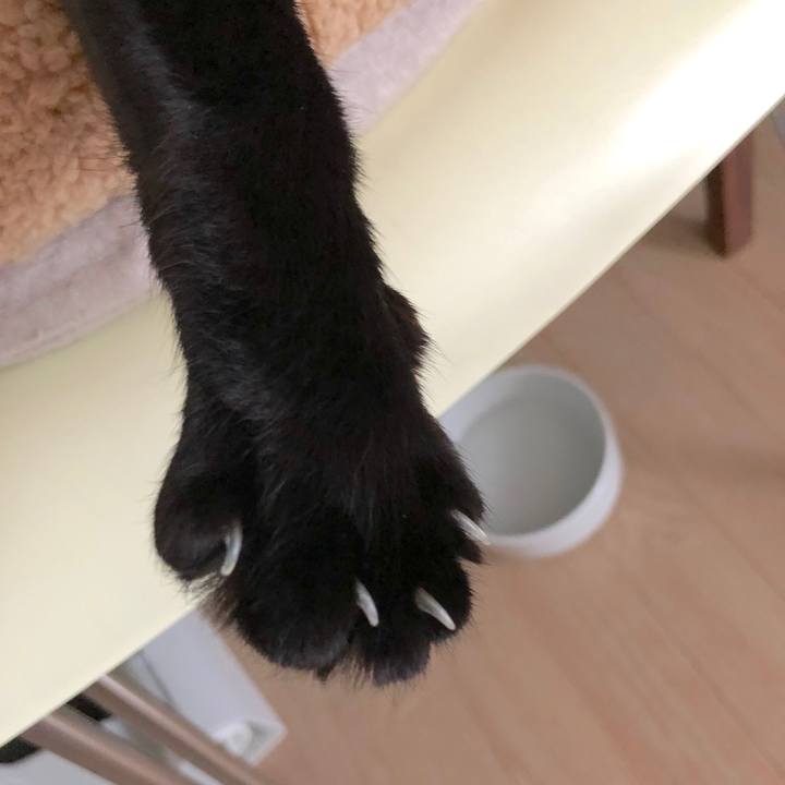 C8e8bff9 c198 432a 83c4 8c06f3cb7f2b 1554971069675