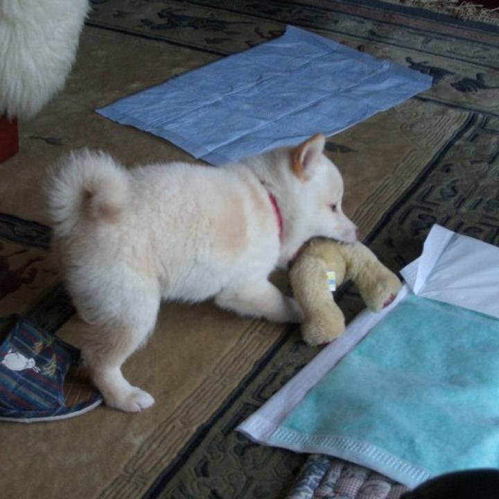 C8e8daff 5719 422d 9c2f a30b40f48b6a 1646588537040