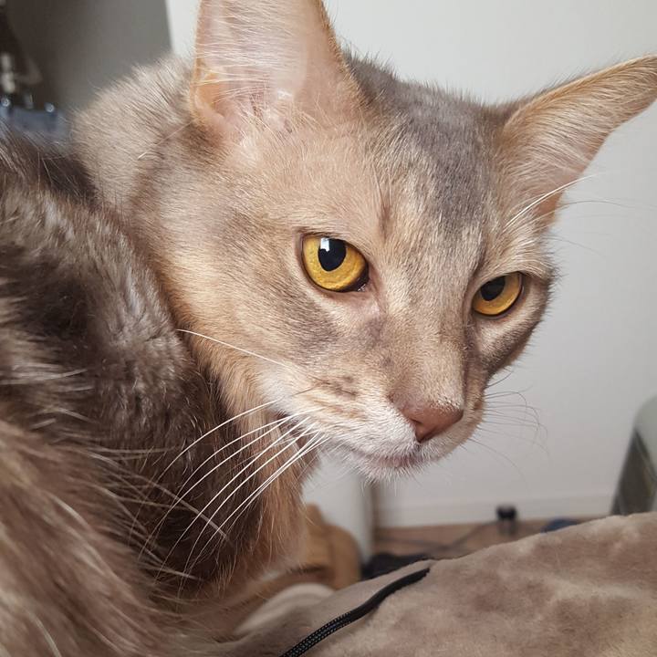 C8e942af 6d36 4f39 8891 1a2e09c03659 1576282007176