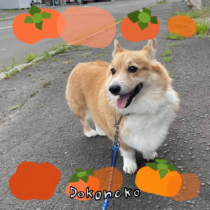 C8e94e59 f91a 4b95 8975 f5ecb613c27f 1761543592276