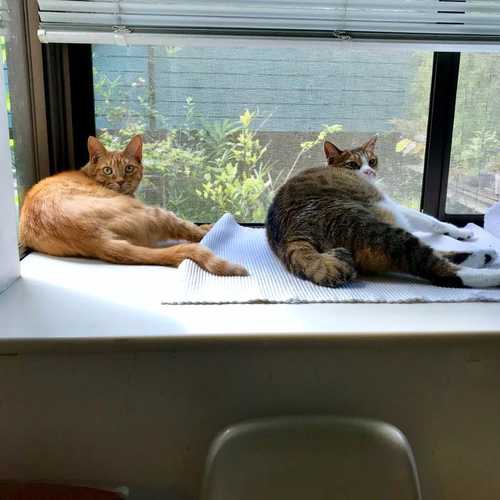 C8e952ea 2c9f 4ed4 86d7 481ae7919156 1564879629945