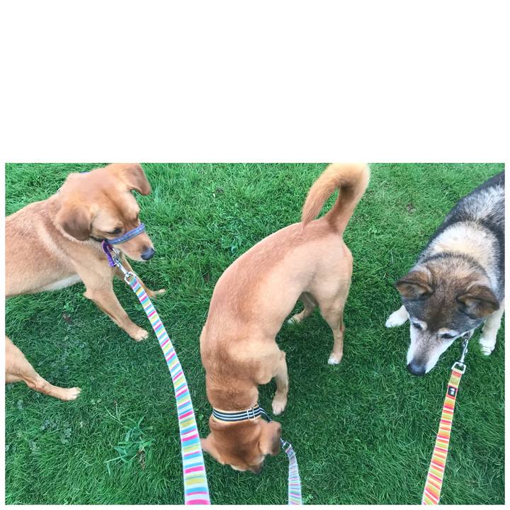 C8e970ff 94c6 4740 b5e7 e04766ade51e 1535878303277