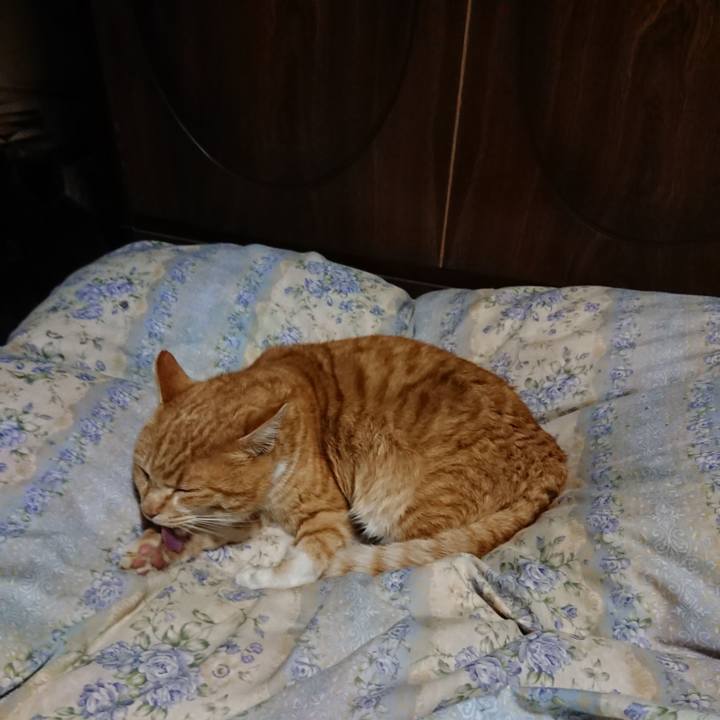 C8e97137 4c10 49cc b908 93b0728c3775 1581940481314