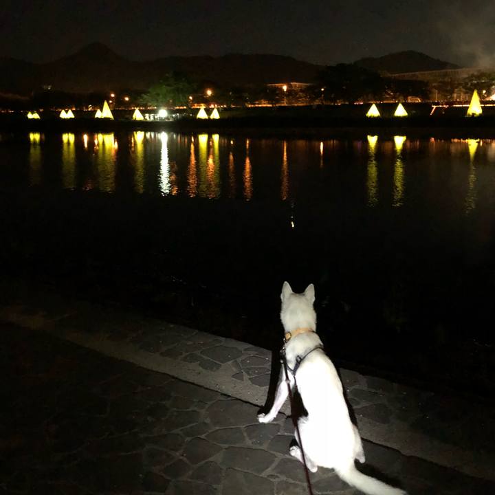 C8e98607 ac70 45d7 b406 e520f79376ff 1534591085605