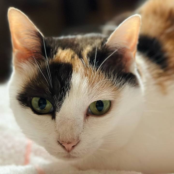 C8e99f30 d044 4067 a1e4 84d99fb9aa1f 1689389162938