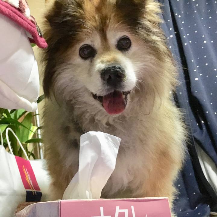 C8e9bfbf 82ad 4fcb 99fe 13fe854eb224 1552671374008