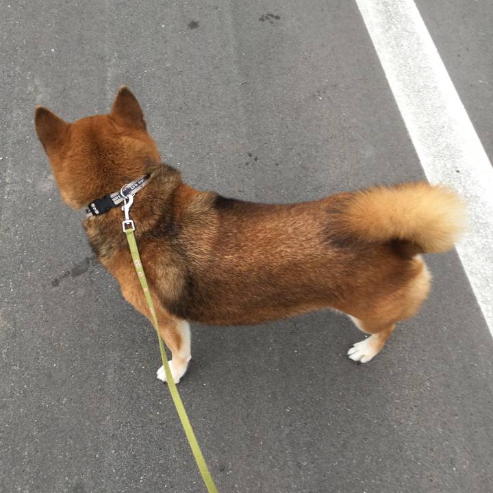 C8e9e71d 275f 448b bee2 717635c20df4 1566981360582