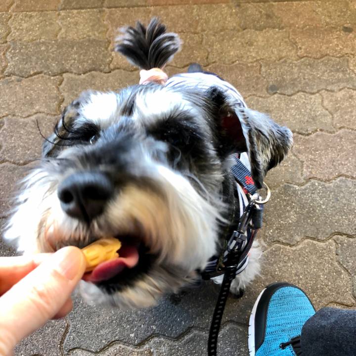 C8ea2d01 ac71 4887 b14b 42a78a2d2646 1651843553343