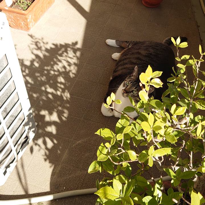 C8ea498f 1ee2 4046 aa7f eeba13fc162f 1613088282793