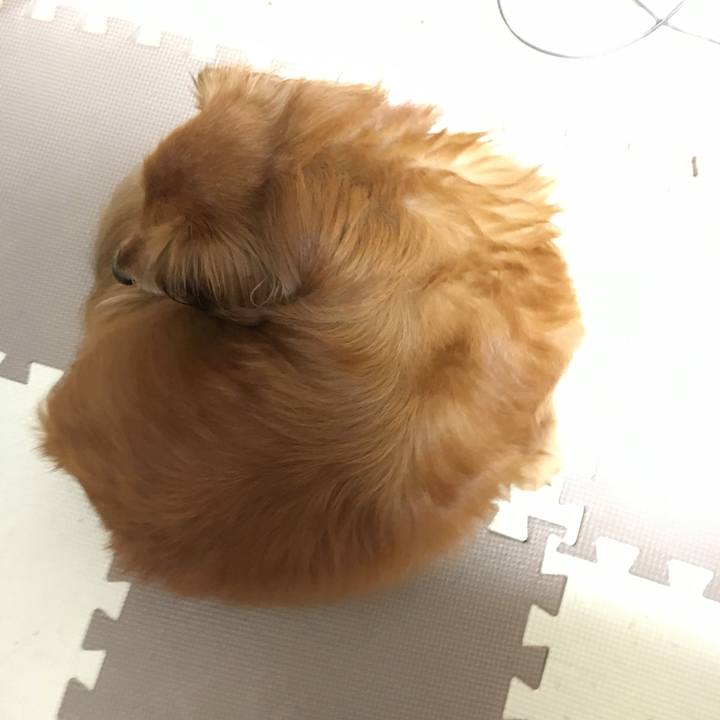 C8ea9720 21da 4706 a29f 73370b7953c1 1559571829712