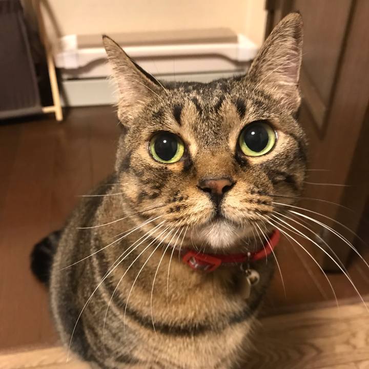 C8eab474 10b8 4d54 bfc7 9bb311d58e04 1540558363406