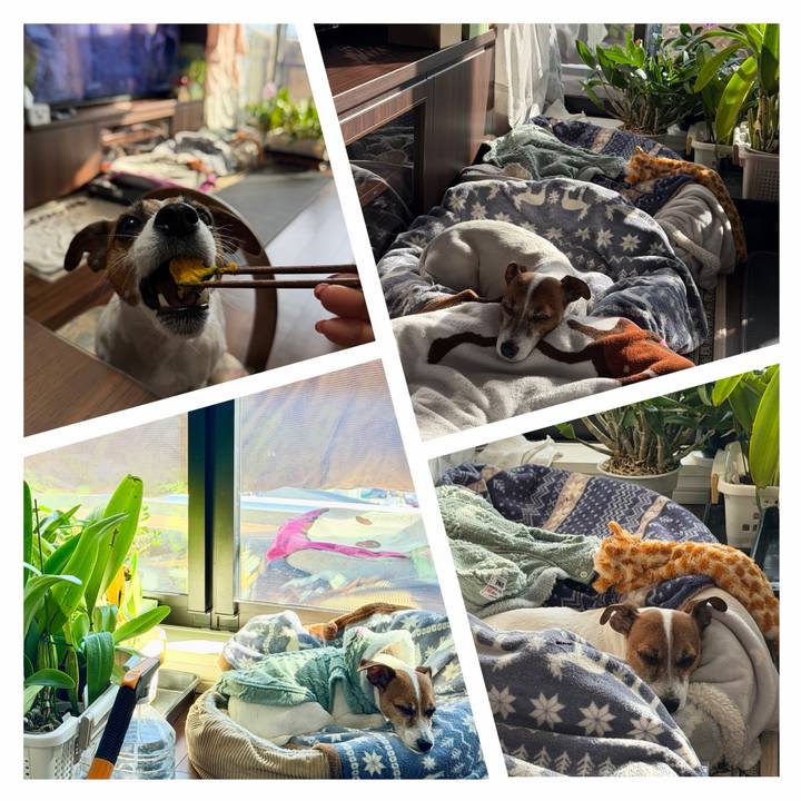 C8ead5cf 534a 41e1 9dbe ccaaa8f620f0 1770019969748