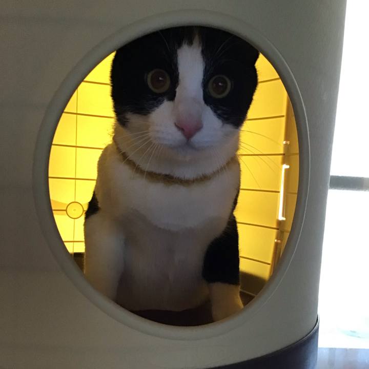 C8eaea83 125b 4c13 8bae 7c715345ffd9 1645771211628