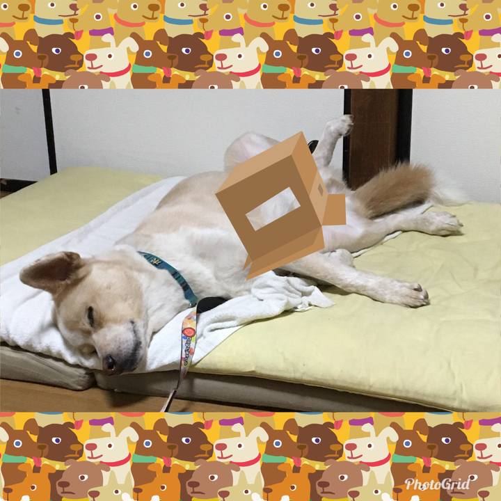 C8eafb73 7ad2 4559 afa2 a870cc736cf6 1537456420909