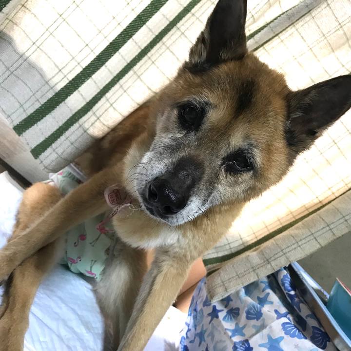 C8eafd17 c5ef 4985 932b 00b40a4f35c6 1555540400098