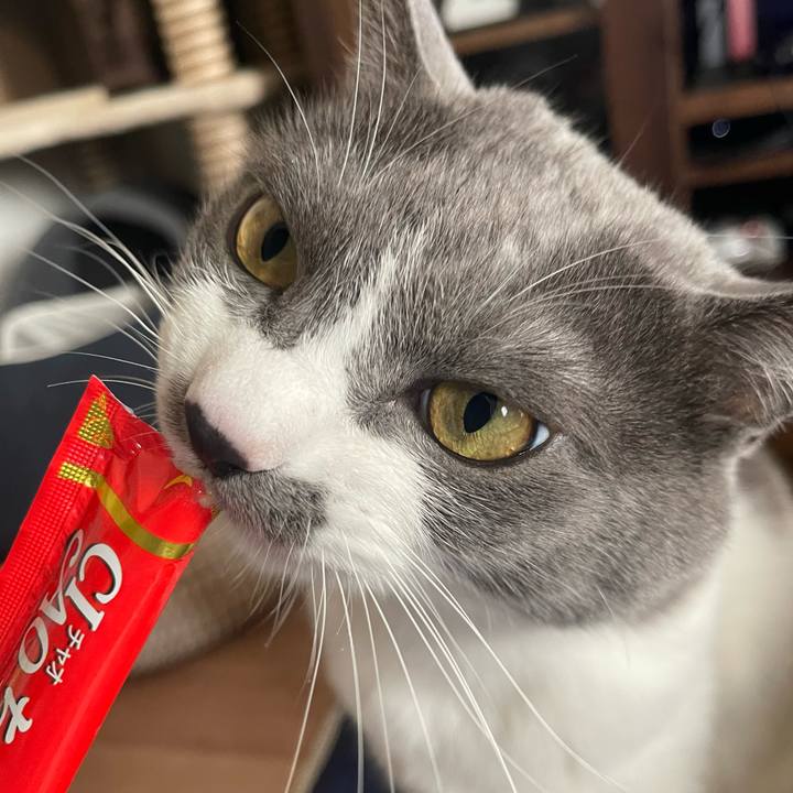 C8eafed9 cc2a 44ce 9fd2 076fbe547cde 1674197412003