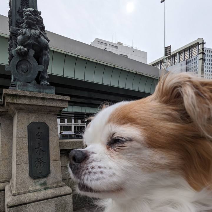 C8eb2dac 911c 49eb a34b 7c76d2171a2f 1679387511555