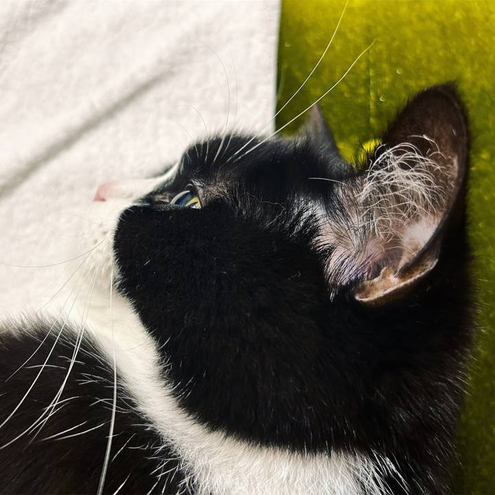 C8eb4171 df97 49a3 83d5 cbc8626e9ad7 1685969112340