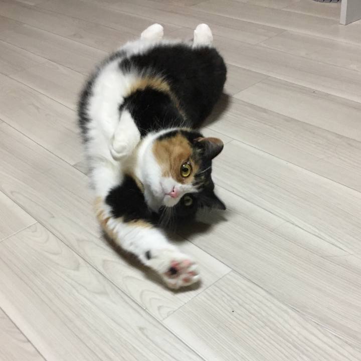 C8eb4290 a8cc 482f 8c99 efceaa5f9d92 1516527815787