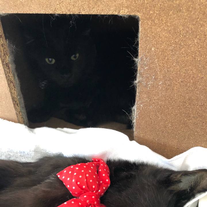 C8eb6f82 d149 4087 8bef 1a8b955b32d9 1558752002008