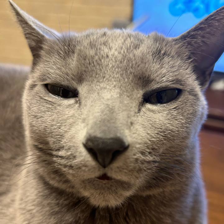 C8eb714a 716a 4582 9653 840531017964 1737524967052