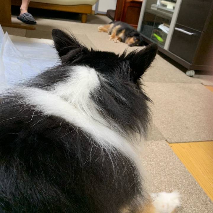 C8ebac05 87fa 4d31 b569 d306c9d23d7a 1599602764530