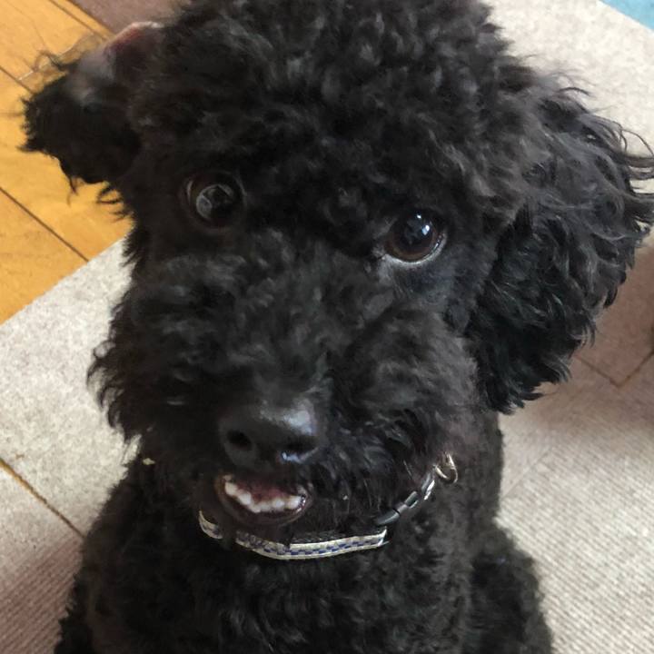 C8ec47f4 d1d5 47cc bea7 dc9d86c6489c 1529923880904