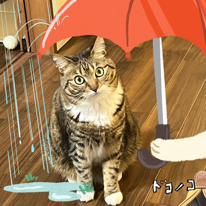 C8ec4d15 93e7 4c77 aae3 6cb61bc8515f 1749652857960