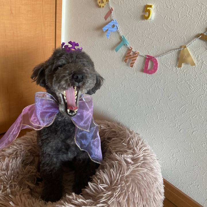 C8ec7e50 c3ee 467c bb04 3221c4a25ad0 1675654630826