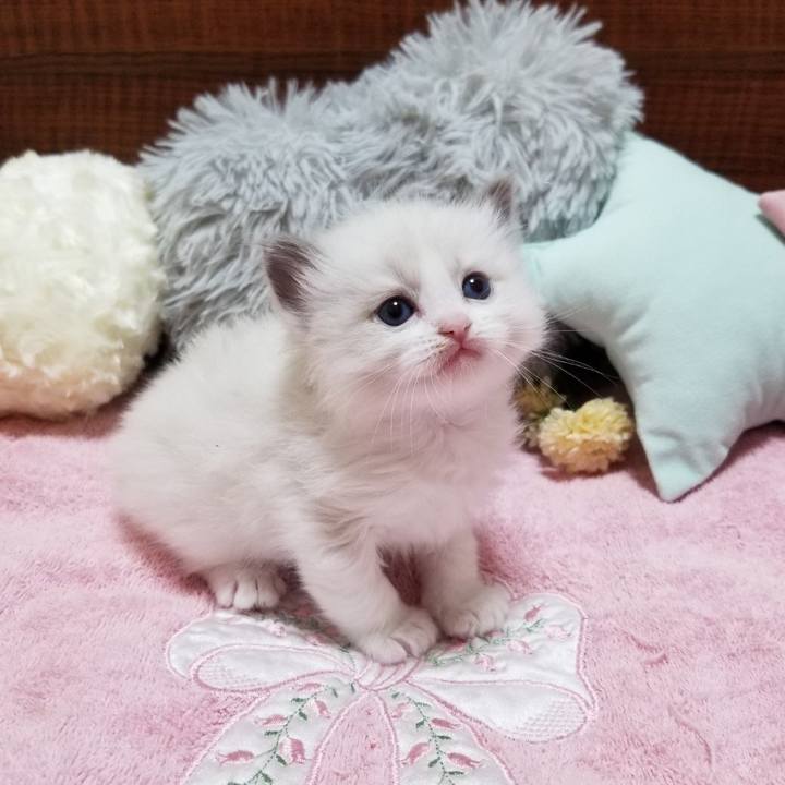 C8ec807d 87b4 42b5 b3b5 761eb746741b 1649198805918