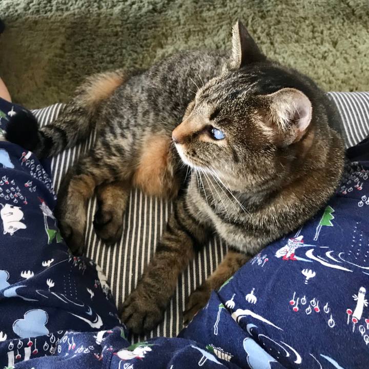 C8ec93f5 54ed 4b7b 8b0b 87b395bf028c 1597304248621