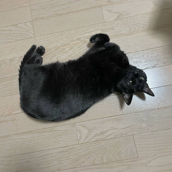 C8ec988f 9523 4924 aad1 5ed81a13cddd 1716027271729