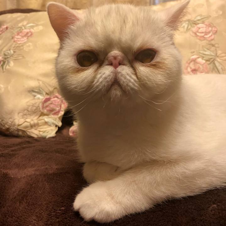 C8ecef25 0907 4777 9dce a86cb6618e2f 1573390089836