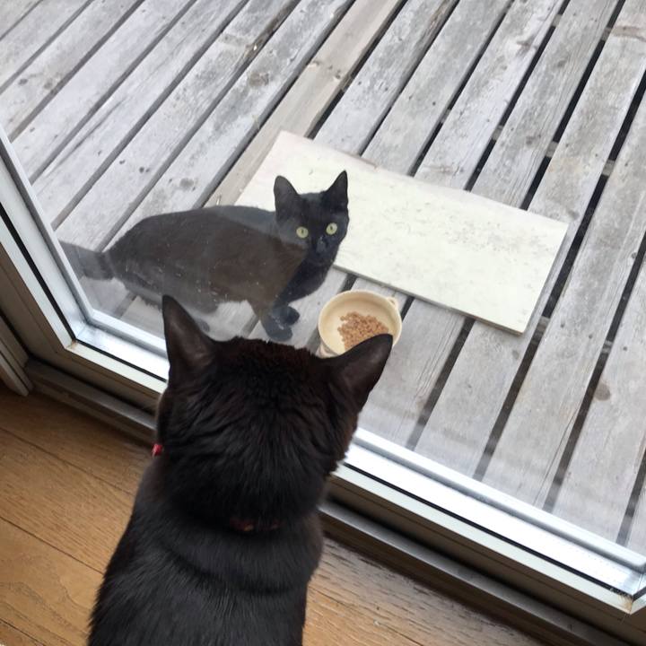 C8ed0faf 9376 4d76 8ec3 2318d6de020e 1588398622957