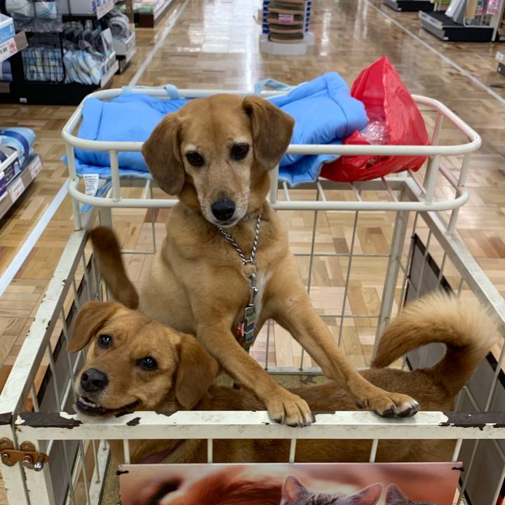 C8ed14ba 155c 425c 9352 f4cb3c368a7e 1620726267346