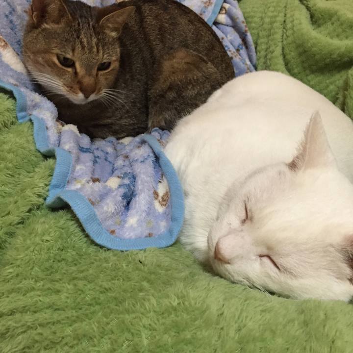 C8ed1624 dff0 47a5 882b 6dee2404a94d 1576276193236