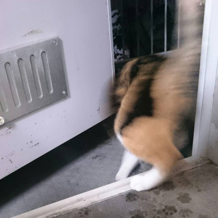 C8ed1a9d 73c1 485a 9585 87c2eb356c3d 1523972579571