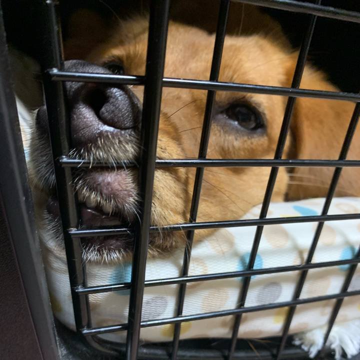 C8ed31e9 0b70 477a bc53 4f8ebfc829ed 1570400255594