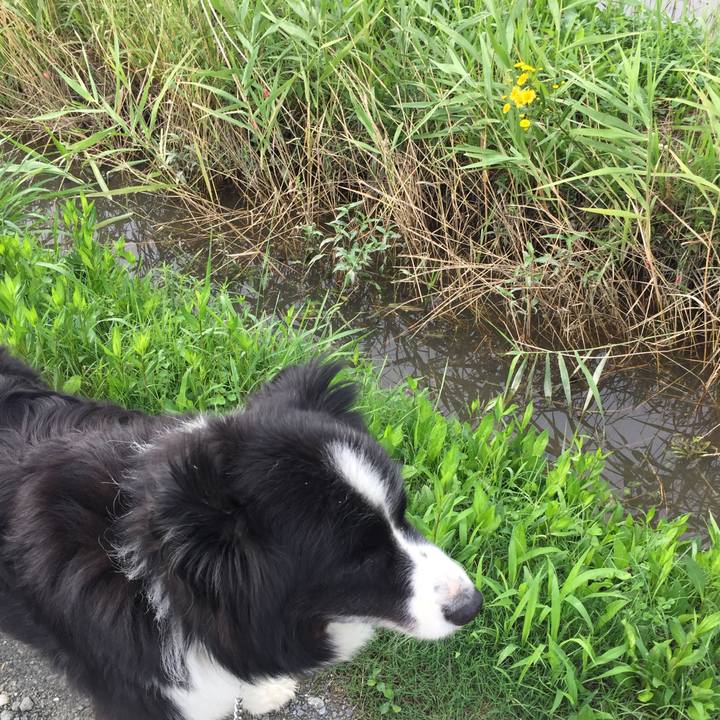 C8ed5b58 c98c 49d1 b8c0 0acf0778b17a 1562283766763