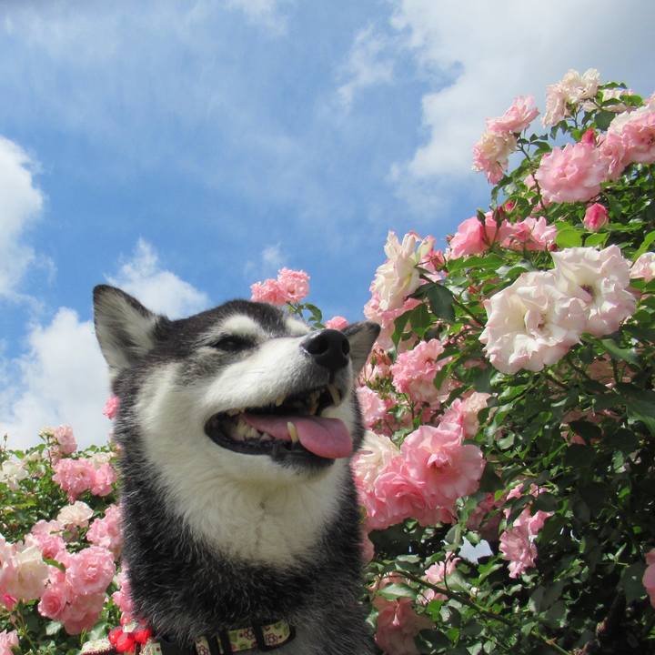 C8ed820e f3c1 49e4 9df9 77d422158f79 1657277819288