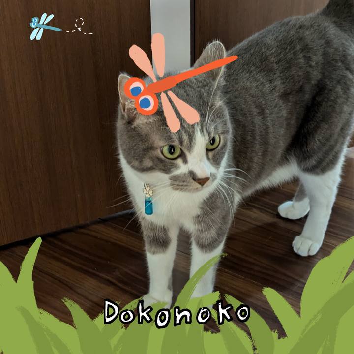 C8eda3fa 594e 4191 aa8e b7623a527f34 1726809951885