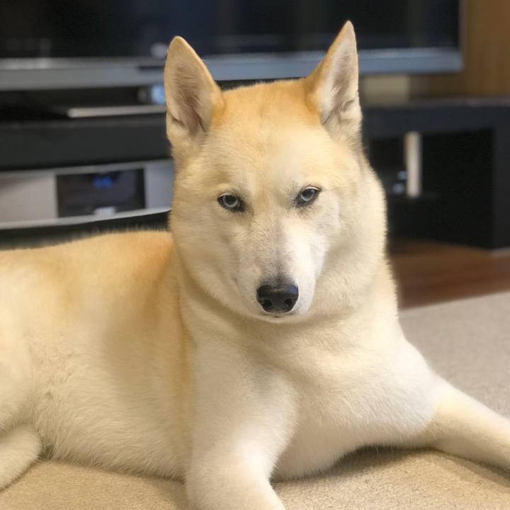 C8edb3f4 2e93 43f6 b189 80fc8e7a74d9 1648803230156