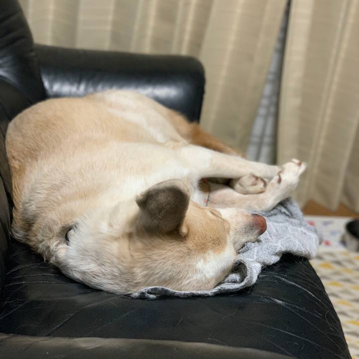 C8edf117 8a2e 493b bcc3 e749fa7da8ce 1575387577005