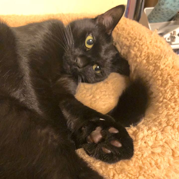 C8edfd8d 8525 4d20 b0a6 2d82bf6bdef1 1538181764664