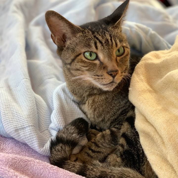 C8ee028b 8fb8 4ff8 bfa4 7dc990abc047 1539481888614