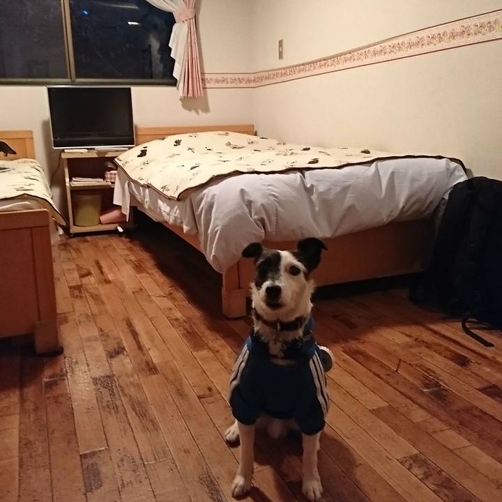 C8ee064a 36f8 410f b754 656abdc15fb6 1509782825182