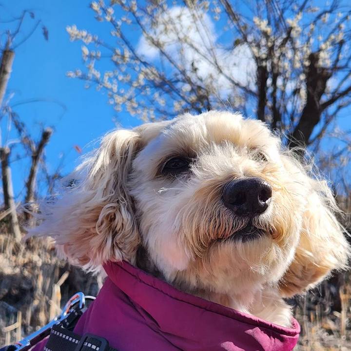 C8ee2f94 9cde 41b8 9fce 3393191ce5cd 1770619379738