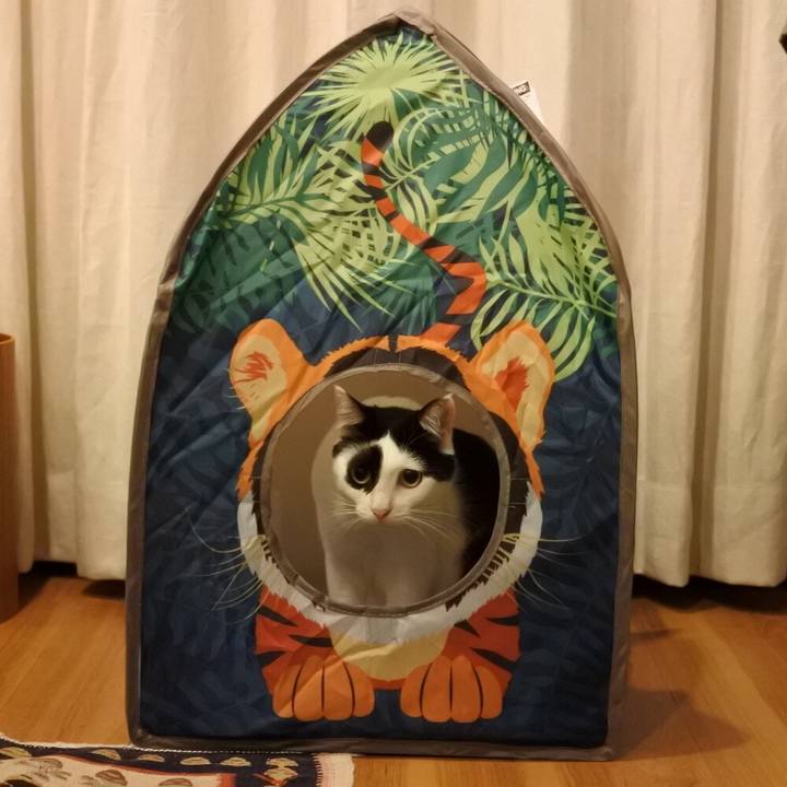 C8ee324d c77a 454b 870e f52acefaee0b 1530020853191