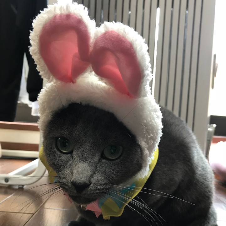 C8ee3add 378a 4009 af9a 1c137d96c488 1520316295082