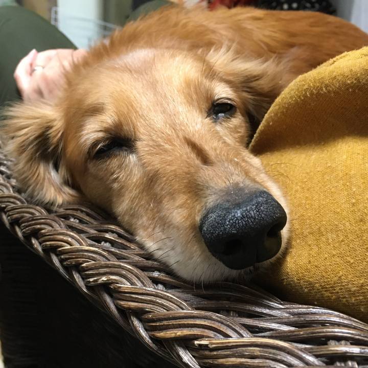 C8ee8f49 02fb 48e1 9e5c 4ee8ff508fc2 1606135990123